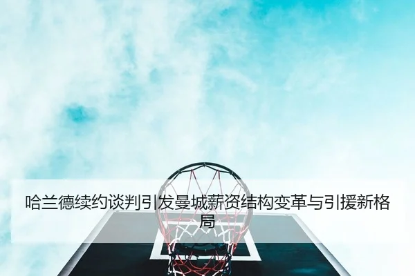 ha-lan-de-xu-yue-tan-pan-yin-fa-man-cheng-xin-zi-jie-gou-bian-ge-yu-yin-yuan-xin-ge-ju-2-728.jpg